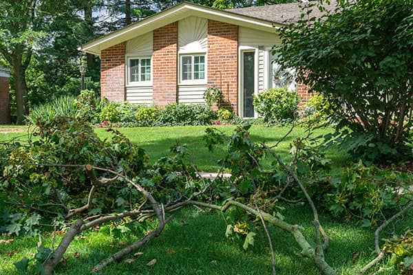 Home Storm Damage Restoration Services